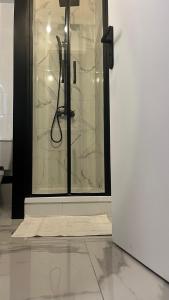 a shower in a room with a glass door at Studio port carnon in Carnon-Plage