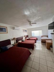 Cette chambre comprend 4 lits et une télévision. dans l'établissement Cabaña Hacienda Victoria Jardin de Eventos, 