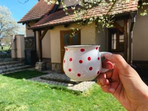 a person holding a polka dot cup in front of a house at Chalupa Kozlovna in Varvažov