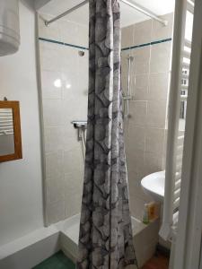 un bagno con tenda da doccia e lavandino di Au coeur de Chalabre, bastide médiévale, près du lac de Montbel a Chalabre