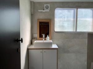 uma casa de banho com um lavatório branco e um espelho. em Péniche Anna Maria 4 em Sète