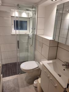 y baño con aseo, ducha y lavamanos. en Monteur Apartment Schelklingen Biosphärenreservat en Schelklingen