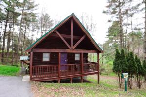 una pequeña cabaña de madera en medio de un bosque en The Cabins at Pine Haven - Beckley, en Beaver