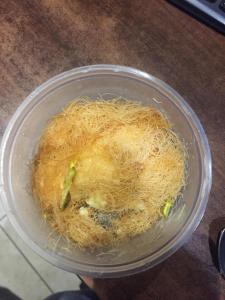 a bowl of food sitting on top of a table at Hotel Avenue Regency in Mumbai