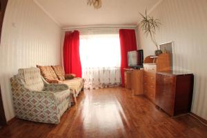a living room with a couch and a window at Dekabrist apartment at petrovsko-zavodskaya 31 in Chita