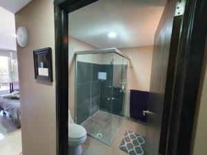 uma casa de banho com uma cabina de duche em vidro e um WC. em S88 SUPER MINI DEPA HERMOSO!!!! A 5 MIN DEL ITES CEM em Cidade do México