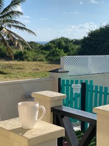 Foto dalla galleria di Lailamar Villa, Ocean view, Pool & AC - Ground Floor a Saint Philip