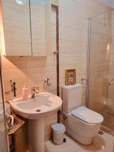 ein Bad mit einem WC, einem Waschbecken und einer Dusche in der Unterkunft 140m2 Top FloorCentral Loft 24hr Self Check-in in Tirana