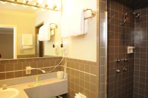 a bathroom with a shower and a sink and a mirror at Civic Center Motor Inn in San Francisco