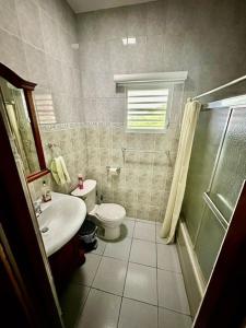 a bathroom with a toilet and a sink and a shower at Camino Al Cielo in Guayanilla