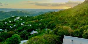 グアヤニリャにあるCamino Al Cieloの木々や家並みが生い茂る丘の上の小さな町