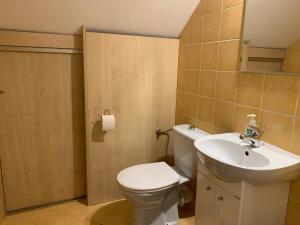 a bathroom with a white toilet and a sink at Dom z Ogrodem blisko Trójmiasta i Kaszub in Dobrzewino +56 photos