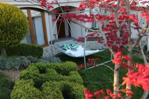 Zahrada ubytování Villa Lotus