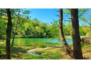 een uitzicht op een meer door de bomen bij Ikoi no Mura Shimane - Vacation STAY 27441v in Kyōmendao