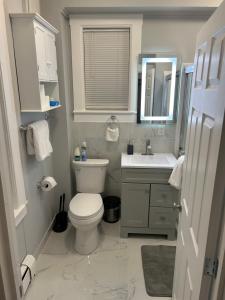 ein Badezimmer mit einem weißen WC und einem Waschbecken in der Unterkunft TEH RENTERS GROUP in Lowell