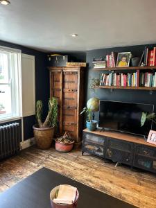 a living room with a television and bookshelves at 1 bed garden flat Islington in London