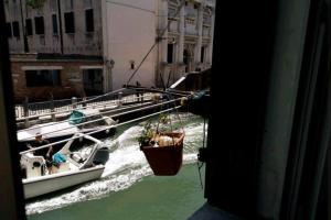 Gambar di galeri bagi castello 2 di Venice