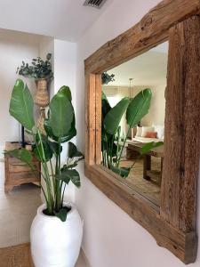 un miroir dans une pièce avec un vase et une plante dans l'établissement ALOJAMIENTO ARENAL PARK, à Jávea