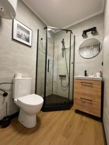 W łazience znajduje się prysznic, toaleta i umywalka. w obiekcie Dom na Pojezierzu Łęczyńsko - Włodawskim w mieście Ludwin