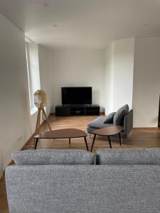 a living room with two couches and a tv at Studio avec WC et SDB privés dans Grande maison à côté du campus Artem - Thermal et Parc des Expos in Vandoeuvre-lès-Nancy