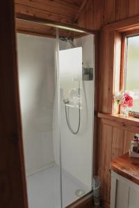 y baño con ducha y puerta de cristal. en Sea View Pod Close to Mountains / Snowdonia en Caernarfon