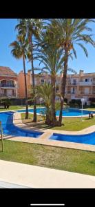 - une piscine bordée de palmiers et un skatepark dans l'établissement ALOJAMIENTO ARENAL PARK, à Jávea