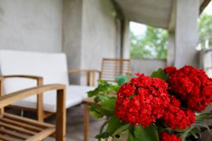 a vase filled with red flowers in a room at Apartman Oliva in Posedarje
