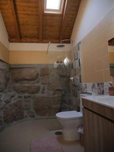uma casa de banho com um chuveiro de pedra e um WC. em Nascente, place in nature next to a waterfall em Loureiro