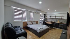 Χώρος καθιστικού στο Luxury Apartment IVA IV