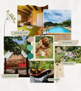 a collage of pictures of a house and a pool at B&B Lao in Papasidero