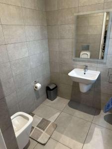 a bathroom with a sink and a toilet and a mirror at The Pine Court in Accra