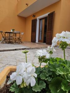 un bouquet de fleurs blanches dans un pot devant une maison dans l'établissement Casa Elvira, à Porto Pollo