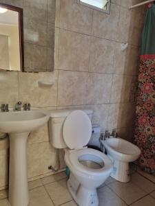 a bathroom with a toilet and a sink at Apartamentos Centro in San Salvador de Jujuy
