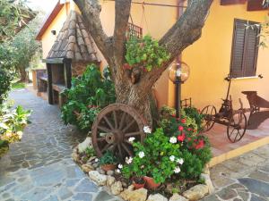 Ein Garten an der Unterkunft Nuraghe Bianco
