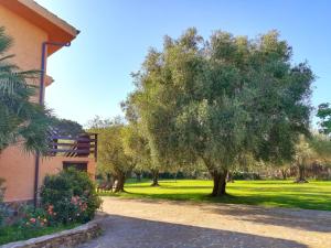 Ein Garten an der Unterkunft Nuraghe Bianco