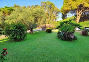 Ein Garten an der Unterkunft Nuraghe Bianco