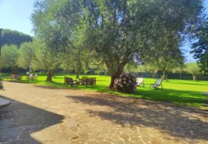 Ein Garten an der Unterkunft Nuraghe Bianco
