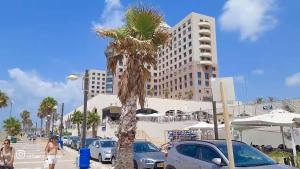 uma palmeira num parque de estacionamento ao lado de um edifício em beutifull apartments by the sea em Haifa