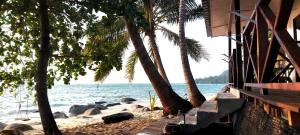 a beach with palm trees and the ocean at Home Away Tioman Island in Tioman Island