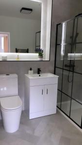 a bathroom with a toilet and a sink and a mirror at 3 Bedroom House Near City Centre Glasgow Sleeps 7 in Glasgow