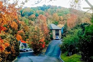 a house in the middle of a road with trees at Carebear 2 in Gatlinburg