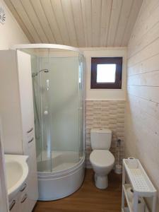 a bathroom with a shower and a toilet and a sink at Dwa domki w Borach Tucholskich in Wełpin