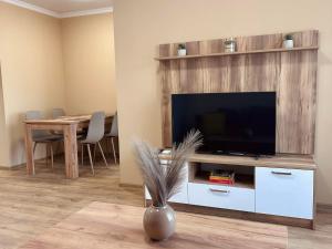 TV a/nebo společenská místnost v ubytování Апартаменти Bella Deluxe