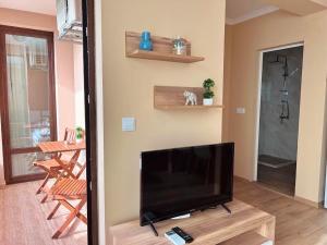TV a/nebo společenská místnost v ubytování Апартаменти Bella Deluxe