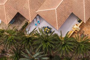 einen Blick über ein Haus mit Palmen in der Unterkunft Casa do Ribeiro Salgado by An Island Apart in Porto Santo