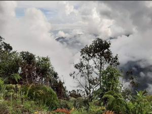 a cloudy sky with trees and plants on a hill at Cabañas Campestres Villa Bella in Coroico Viejo