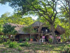 a house with a thatched roof at Pajarito Eco-Lodge frente al mar in Cedro
