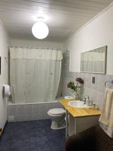 y baño con aseo, lavabo y ducha. en Hostel Cala 816 en Frutillar