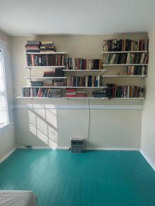 a room with a green floor and shelves with books at Keur Koura @The Ville in Saint Louis
