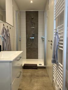a bathroom with a shower with a glass door at Haus Monopol "Himmel und Meer" - direkter Meerblick mit Nord-Balkon in Wangerooge